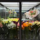 모랫말로L | 영종도 운서역 카페 꽃집 플라워 분위기 좋은 페브 내돈내산 후기