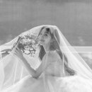 비비스튜디오 - 군산시 신설2길 4 | 비비스튜디오