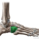 까치부부한의원 이미지