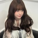 헤어 광 이미지