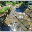 둥지세신 이미지