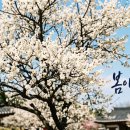 매화세탁소 이미지