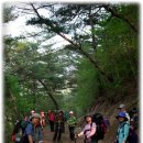 운기네 민박 | [스크랩] [정선-삼척]바코의 낭만도보여행 - 첫번째 날