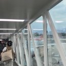 일본 오사카 ESIM 해외여행 준비물 일본 이심 구매 &#39;링심&#39; 추천