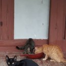 비결농장 이미지