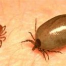 노래하는 이미지