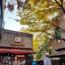 제이밥(J Bob) 이미지