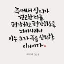 심지 이미지