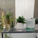 살롱드헤어 이미지