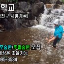 행복한숲
