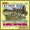 모두의배움숲(열매반) | 미세먼지 걱정 끝! 서울 유아 초등 숲체험 봄 학습 총정리 가이드