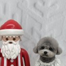 보람그루밍 이미지