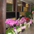 침맥한의원 이미지