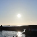 샛도리물 이미지