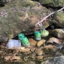 포레스트벨리캠프 이미지