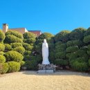 가톨릭대학교 이미지