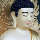 금 강  1 이미지