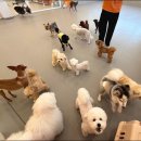 여기오개 이미지