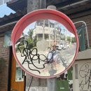 엠투짐(M2GYM) | [태국 치앙마이] 무에타이 전지훈련(?)｜당무에타이 3번 다녀온 후기