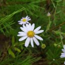 자미원농장 이미지