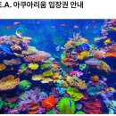 행복한여행사주 이미지