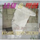 형제 셀프 크리닝 이미지