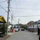 다옴 애견동반 펜션 | [강원도] 삼척 애견 동반 여행 바보펜션 후기