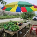 재분농장 이미지