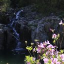 천문대길 이미지