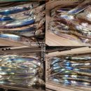 선단체육문화센터 이미지