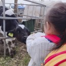 수목원파크 이미지