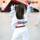 한미태권도장 이미지