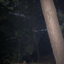 원터길 9-88 이미지