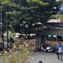 유명산목장 이미지