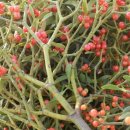 경남건재 이미지