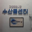[강원도/강릉맛집] 강릉 중앙시장 회 포장 어디서 할지 고민이라면 "칼언니횟집" 내돈내산 후기