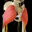 PT의 품격 이미지