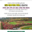 뉴골드게임장 이미지