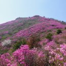 여수 영취산 진달래_꽃가마 타고 꽃놀이 &#39;23.3.29 (수)