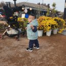 한국크리닝 | 밍쯔네 한국살이 시작 &amp; 대전 쇼파 청소 후기 &amp; 신생아 빨래지옥