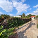 서호초등학교 병설유치원 이미지