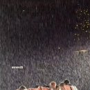 드림비