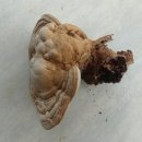 쉼힐링해독센터 이미지