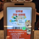 파트라슈&네로 | 강아지 유모차 원주개모차 체험! 모루뽀 강원 방문 후기