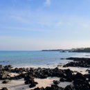 곽지관광지 이미지