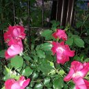 등촌고교 이미지