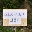 수동그린낚시터 이미지