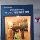 선사랑 놀자(상반기) 이미지