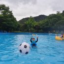 금광관광농원 이미지