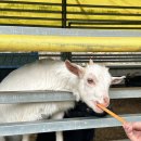 한우드림 이미지